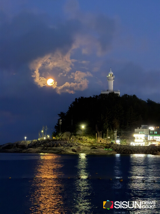 ⓒ지식교양 전문채널-시선뉴스