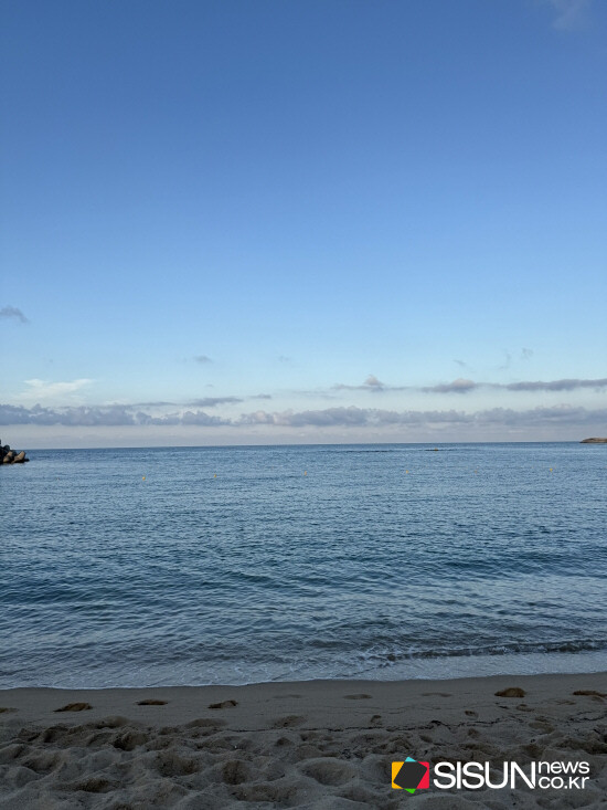 ⓒ지식교양 전문채널-시선뉴스